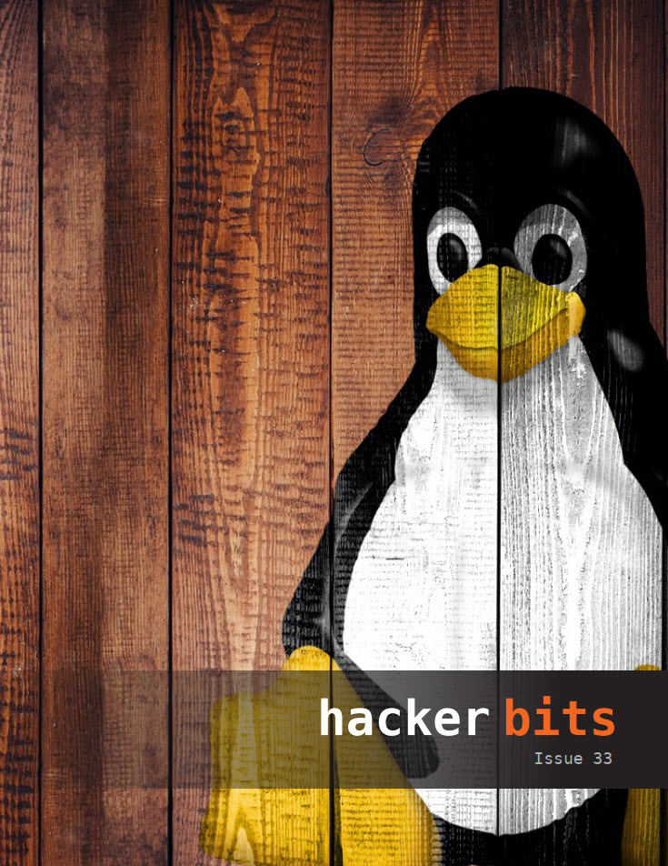 Hacker Bits Cover, Issue 33