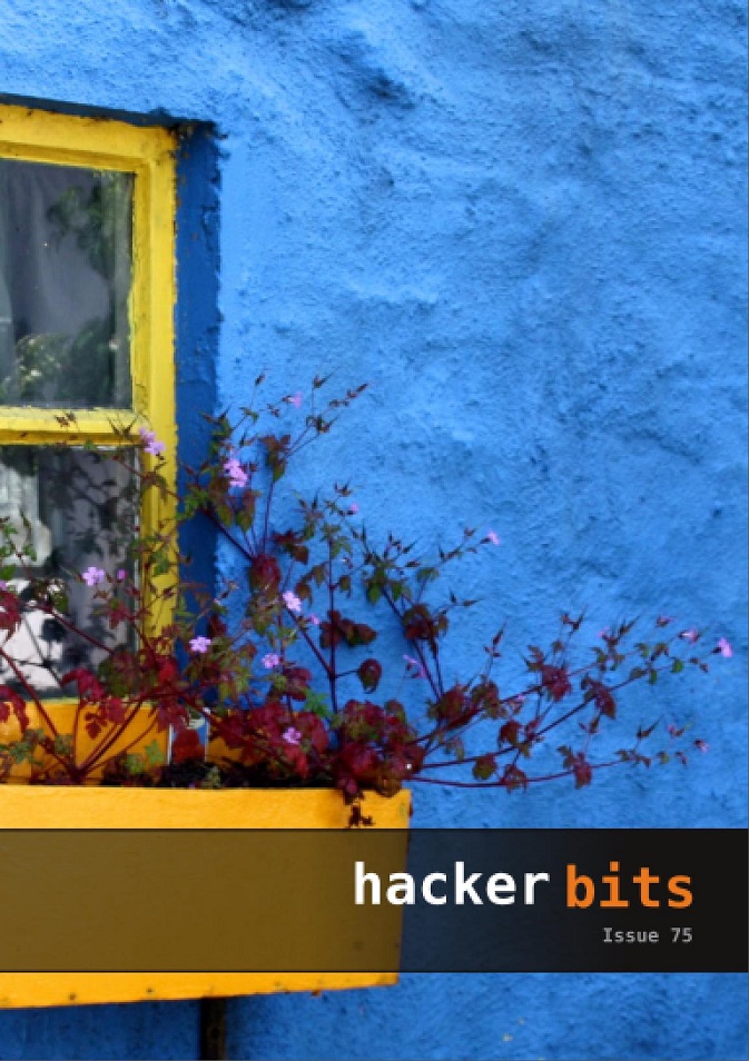 Hacker Bits Cover, Issue 75