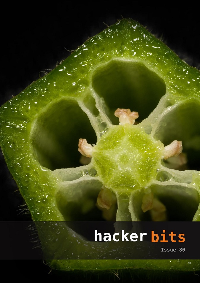 Hacker Bits Cover, Issue 80