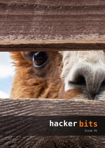 Hacker Bits Cover, Issue 91