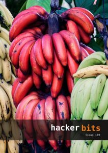 Hacker Bits Cover, Issue 119