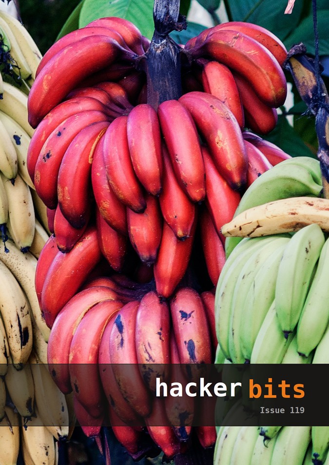 Hacker Bits Cover, Issue 119